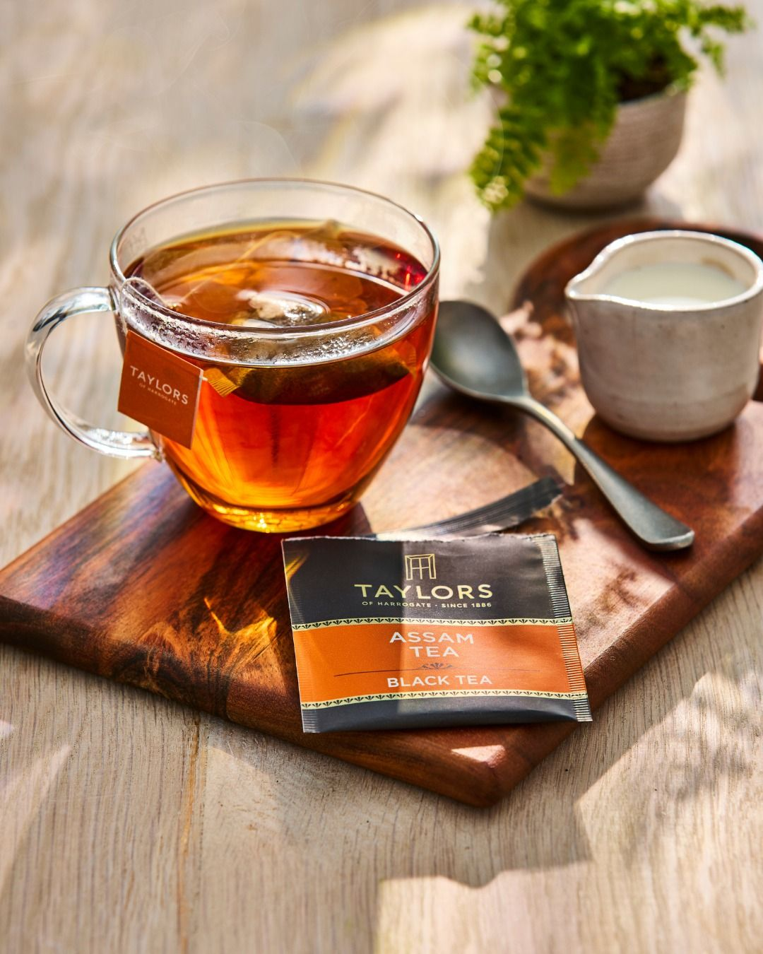 Wellness Ceremonial Blend